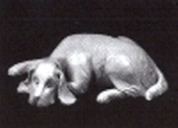 Dozing Spaniel