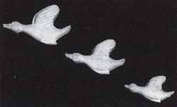Three Flying Ducks (wall plaques)