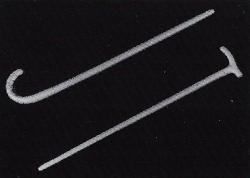 Two Walking Sticks