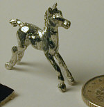 Foal