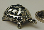 Tortoise