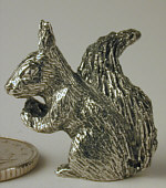 Squirrel