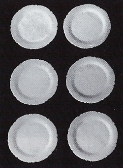 Six Large Dinner Plates